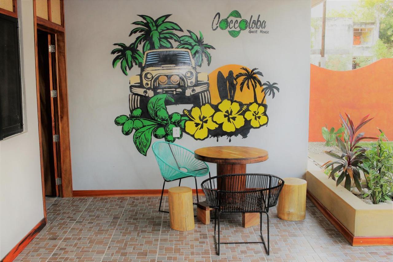 פוארטו אסקונדידו Coccoloba Guest House מראה חיצוני תמונה
