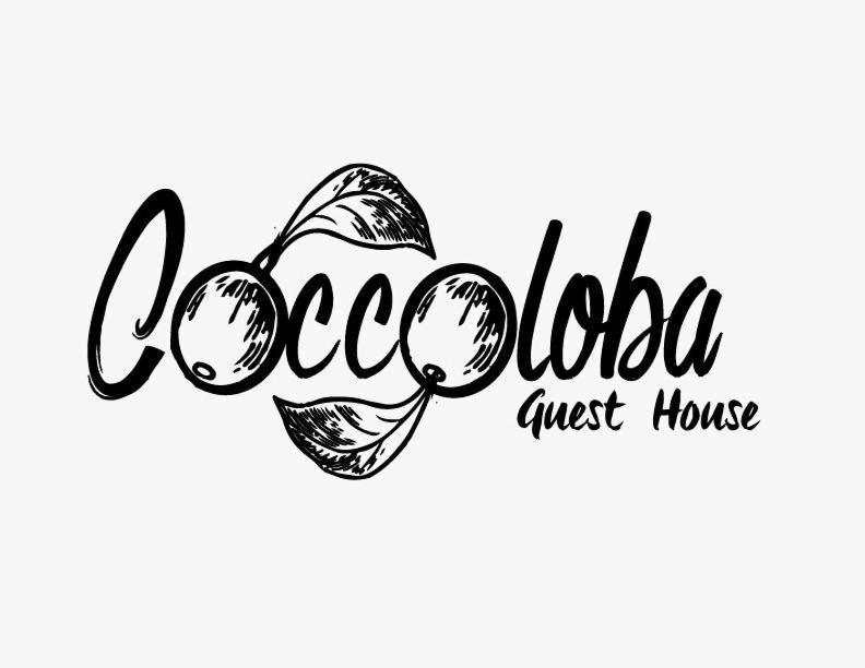 פוארטו אסקונדידו Coccoloba Guest House מראה חיצוני תמונה